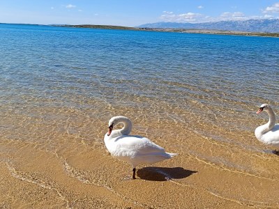 Holiday house Eda - Environment photo 32