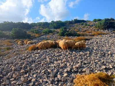 Holiday house Eda - Environment photo 35