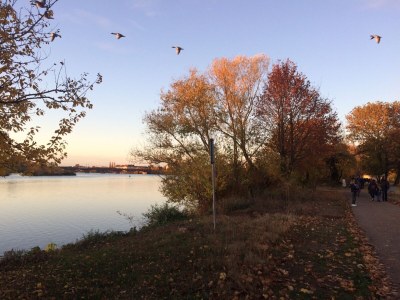 Holiday apartment Pantone Ultra - Environment photo 20