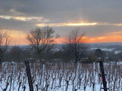 Holiday apartment Pantone Ultra - Environment photo 28