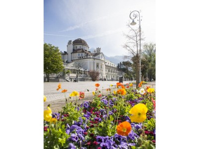 Holiday apartment Time Travel Spacious Apartment - Environment photo 37