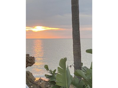 Villa Mas del Cullou (Roche) - Environment photo 40