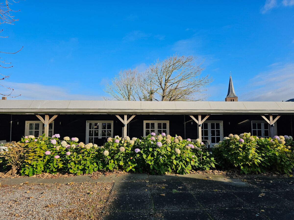 Holiday apartment Garden Suite Domburg DO49 - Outdoor photo 4