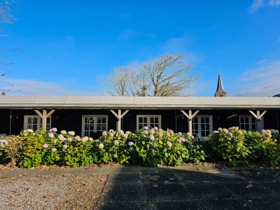 Holiday apartment Garden Suite Domburg DO49 - Outdoor photo 4