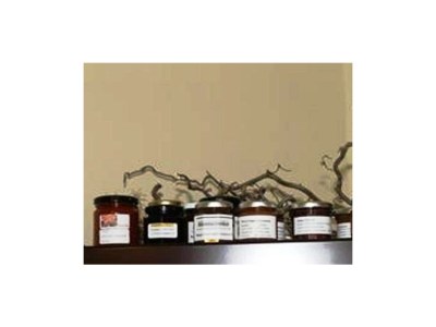 Apartment FEWO 1 Weinknospe - Outdoor photo 2