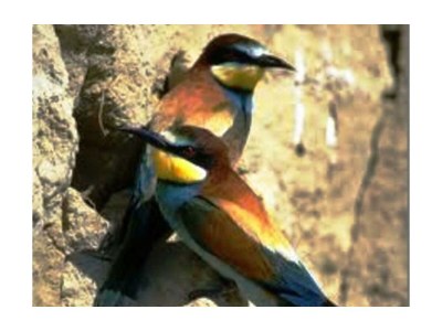 Apartment FEWO 1 Weinknospe - Outdoor photo 6