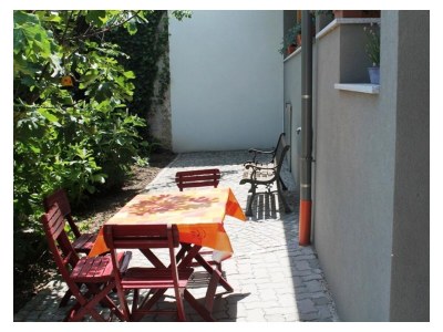 Apartment FEWO 1 Weinknospe - Outdoor photo 12