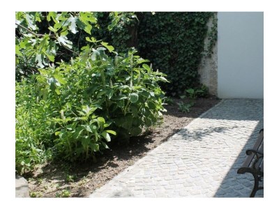 Apartment FEWO 1 Weinknospe - Outdoor photo 14