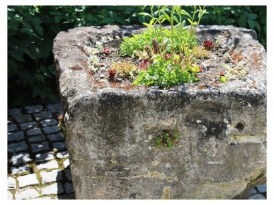 Apartment FEWO 1 Weinknospe - Outdoor photo 21