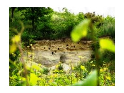 Apartment FEWO 2 Weinblüte - Outdoor photo 5