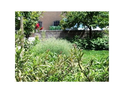 Apartment FEWO 2 Weinblüte - Features photo 33