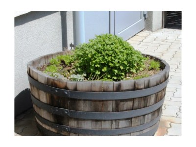 Apartment FEWO 2 Weinblüte - Features photo 34