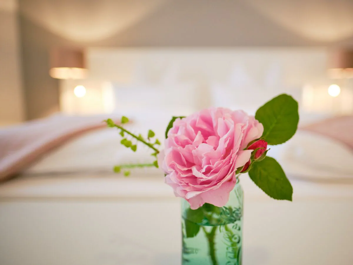 Apartment Studio Superior