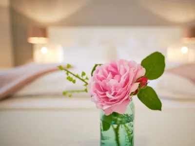 Apartment Studio Superior in Gols - Apartment