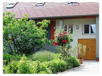 Apartment FEWO 3 Weinranke - Outdoor photo 10