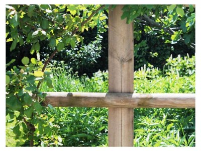 Apartment FEWO 3 Weinranke - Outdoor photo 20