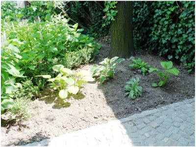 Apartment FEWO 3 Weinranke - Outdoor photo 23