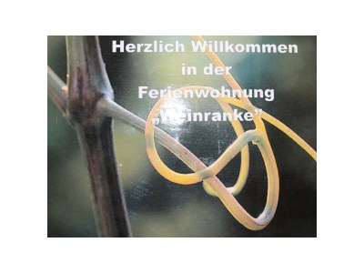 Apartment FEWO 3 Weinranke - Features photo 34