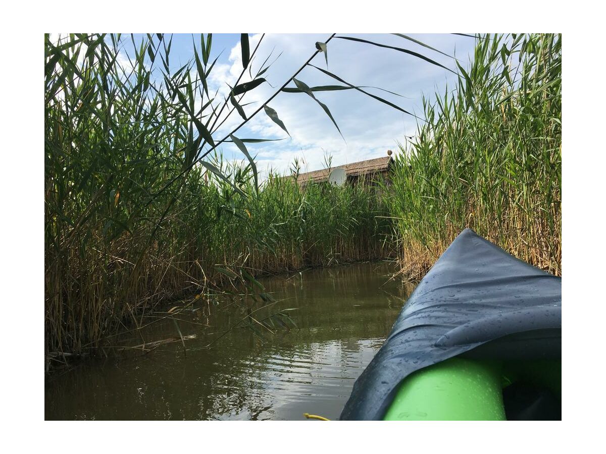 Apartment Schilfhaus, Dusche, WC, Seeblick - Outdoor photo 5