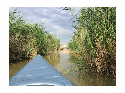 Apartment Schilfhaus, Dusche, WC, Seeblick - Outdoor photo 4