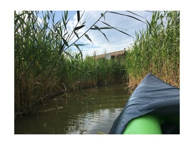 Apartment Schilfhaus, Dusche, WC, Seeblick - Outdoor photo 5