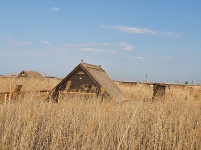 Apartment Schilfhaus, Dusche, WC, Seeblick - Outdoor photo 7