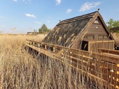 Apartment Schilfhaus, Dusche, WC, Seeblick - Outdoor photo 11