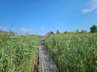 Apartment Schilfhaus, Dusche, WC, Seeblick - Outdoor photo 18