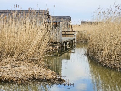 Apartment Schilfhaus, Dusche, WC, Seeblick - Outdoor photo 19