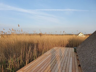 Apartment Schilfhaus, Dusche, WC, Seeblick - Outdoor photo 20