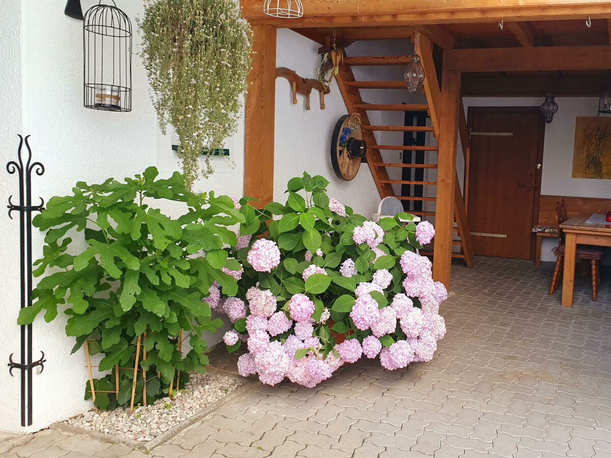 Apartment Ferienwohnung 1 - Outdoor photo 2