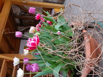 Apartment Ferienwohnung 1 - Outdoor photo 16