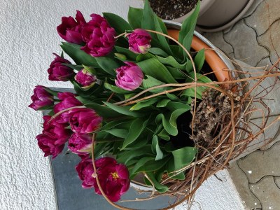 Apartment Ferienwohnung 1 - Outdoor photo 20