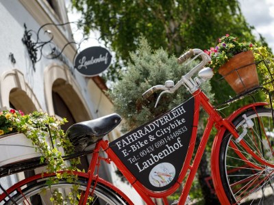 Holiday room Doppelzimmer Standard (Zimmer 8) - Outdoor photo 3