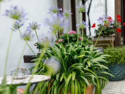 Holiday room Doppelzimmer mit Balkon Seeseite (Zimmer 16) - Outdoor photo 16