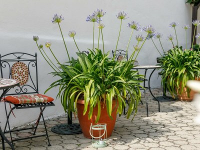 Holiday room Doppelzimmer Deluxe mit Dusche, WC - Outdoor photo 14