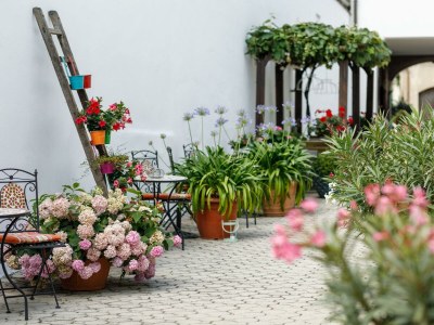 Holiday room Studio 3-Bett Zimmer, Dusche, WC - Outdoor photo 15