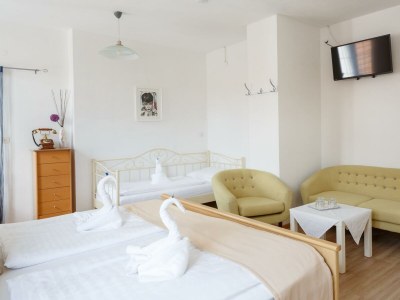 Holiday room Studio 3-Bett Zimmer, Dusche, WC - Features photo 30