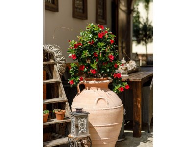 Holiday room Deluxe Suite, Dusche, WC - Outdoor photo 12