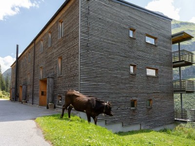 Apartment Appartement Omeshorn in Warth - Apartment