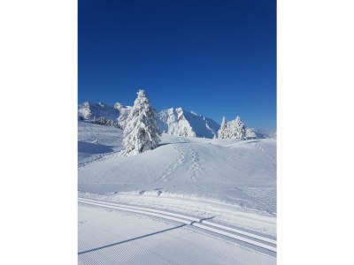 Apartment Appartement 3 - Outdoor photo 62