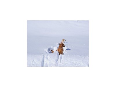 Apartment Appartement Juppe - Outdoor photo 6