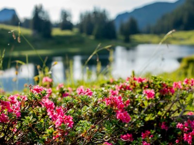 Apartment Appartement Juppe - Outdoor photo 38