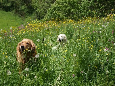 Apartment Appartement Juppe - Outdoor photo 41