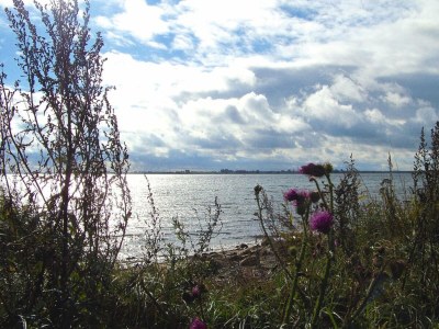 Apartment Ferienwohnung Petersdorf in Fehmarn-Petersdorf - Outdoor photo 38