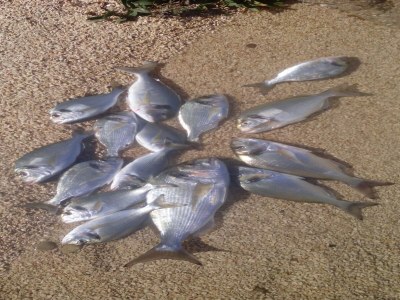 Holiday house Holiday Home By The Sea - Outdoor photo 30