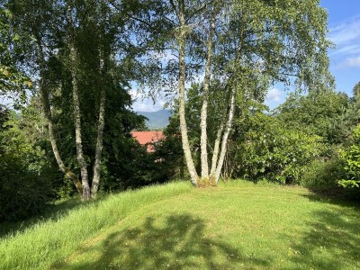 Holiday house ‘Dans les Bois’ - Outdoor photo 8