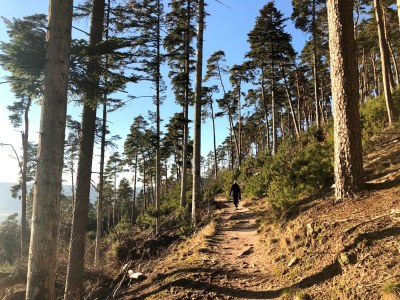 Holiday house ‘Dans les Bois’ - Environment photo 29