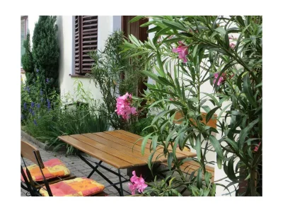 Apartment Apartment/2 Schlafräume/Dusche, WC - Outdoor photo 4