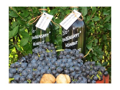 Apartment Apartment/2 Schlafräume/Dusche, WC - Outdoor photo 7